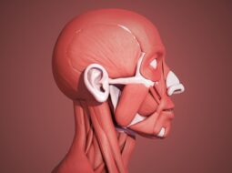 Dr. Gabriel Carabello-Avascular Disorders