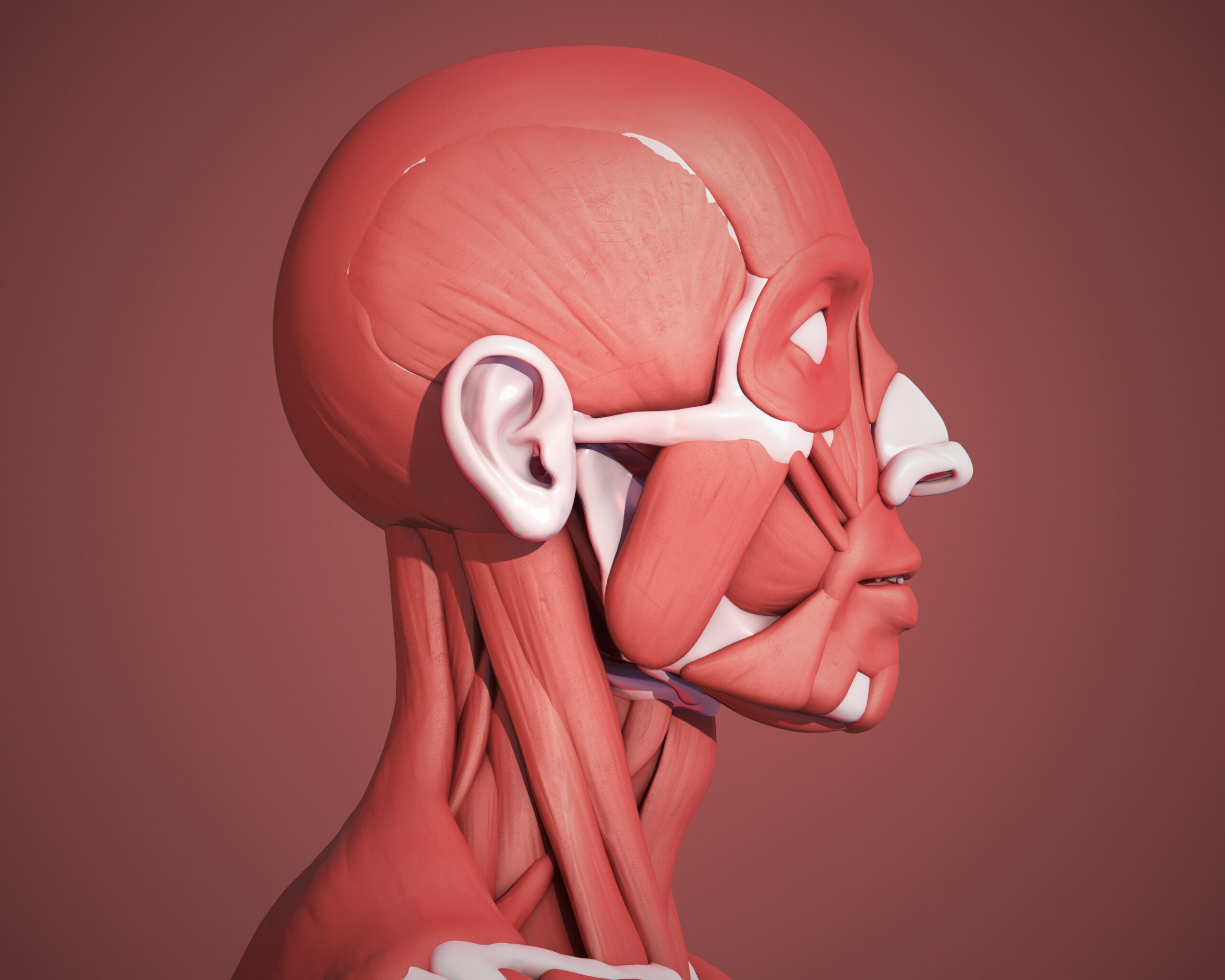 Dr. Gabriel Carabello-Avascular Disorders